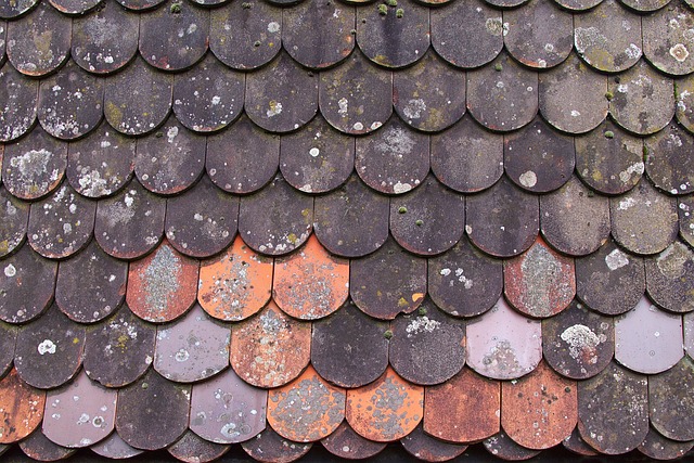 Vices cachés : les pourparlers amiables ne suspendent pas la prescription biennale